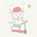 Lovely cute owl rides the scooter with the butterfly. Young dressed owl. Summer series of children`s card Royalty Free Stock Photo