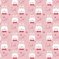 Lovely cute rabbit with pink blackguard Royalty Free Stock Photo