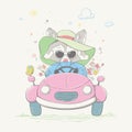 Lovely cute raccoon girl is driving the car. Young racer in the summer hat and the glasses with the color flowers