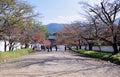 Lovely day in japanese garden in autumn. Royalty Free Stock Photo