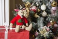 The lovely deer sits on the packed red gift with white bows near a fir-tree