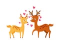 Lovely deers falling in love nature cute animal vector.