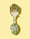 Lovely and delicious artichoke vertically aligned against pastel yellow background. Flat lay composition