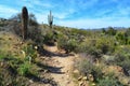 A Lovely Desert Scene Royalty Free Stock Photo