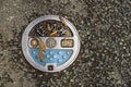 Lovely design circular public manhole with sign and symbol on paved road cover by yellow leaves, Kurokawa onsen town