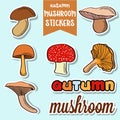 Autumn mushroom stickers