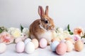 Lovely easter fluffy rabbit with flowers and easter eggs. Symbol of easter festival animal. Generative AI
