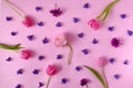 A lovely elegant spring or summer floral wallpaper or pattern made of pink tulips and violet hyacinth flowers on pink background. Royalty Free Stock Photo