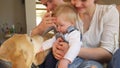 Lovely family mother father and son caress dog pet at home. Handheld shot