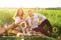 Lovely family playing together on a picnic in meadow Royalty Free Stock Photo