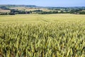 Panorama of East Sussex, England. View towards Firle Beacon. Royalty Free Stock Photo