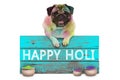 Lovely Festival of colors pug puppy dog, covered with colored powder, hanging on sign with text happy Holi