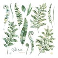 Lovely floral collection with different fern leaves,green,branches