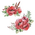 Lovely floral collection with poppies flowers,branches,green,fern leaves,berries,feathers