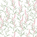 Lovely floral seamless pattern. Pink lavender flowers and leaves. Vector illustration. Royalty Free Stock Photo