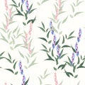 Lovely floral seamless pattern. Pink and violet lavender flowers and leaves. Royalty Free Stock Photo