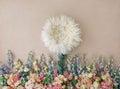 Lovely flower background for newborn baby, concept of newborn ba Royalty Free Stock Photo
