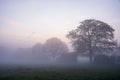 Lovely foggy sunrise in English countryside with soft pastel sky and calm feeling Royalty Free Stock Photo