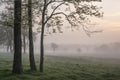 Lovely foggy sunrise in English countryside with soft pastel sky and calm feeling Royalty Free Stock Photo