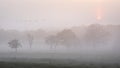 Lovely foggy sunrise in English countryside with soft pastel sky and calm feeling Royalty Free Stock Photo