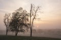 Lovely foggy sunrise in English countryside with soft pastel sky and calm feeling Royalty Free Stock Photo