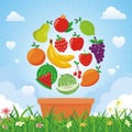 Lovely Fresh fruits background vector design