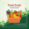 Lovely Fresh fruits background vector design