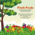 Lovely Fresh fruits background vector design