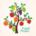 Lovely Fresh fruits background vector design