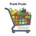 Lovely Fresh fruits Icon vector design