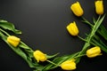 Lovely fresh yellow tulip flowers are arranged in a Golden or Fibonacci spiral shape on a black paper background