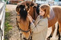 Lovely ginger girl preparing her horse for the ride, putting on bridle on horse Royalty Free Stock Photo