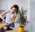 Lovely girl replanting flowers at home  relaxing after working day. Pouring the ground and fertilizer from the packaging  mixing Royalty Free Stock Photo