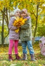 Lovely girls with yellow maple leaves