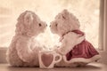 Lovely glass with couple teddy bears in love Royalty Free Stock Photo