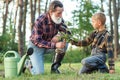 Lovely grandpa teaches his grandson to plant oak sapling into the ground among other trees in the forest. Royalty Free Stock Photo