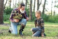 Lovely grandpa teaches his grandson to plant oak sapling into the ground among other trees in the forest. Royalty Free Stock Photo