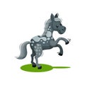 Lovely gray spotted horse standing on its hind legs. Hoofed animal with flowing mane and long tail. Flat vector icon Royalty Free Stock Photo