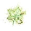 green foliage with serrations in watercolour Royalty Free Stock Photo