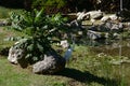 A lovely green park and garden with river and water