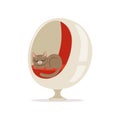 Lovely grey cat sleeping on a modern ball chair home pet resting vector Illustration