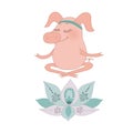 The lovely happy pig blindly sits in a lotus pose