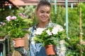 Lovely happy young woman gardener choosing flower pot with anthuriums in garden center Royalty Free Stock Photo