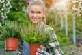 Lovely happy young woman gardener choosing flower pot with anthuriums in garden center Royalty Free Stock Photo