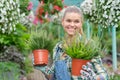 Lovely happy young woman gardener choosing flower pot with anthuriums in garden center Royalty Free Stock Photo