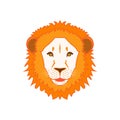 Lovely head design of a lion on a white background