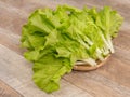 Lovely and healthy vagetables Chinese cabbage or Bok-choy