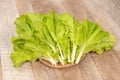 Lovely and healthy vagetables Chinese cabbage or Bok-choy