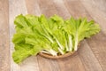 Lovely and healthy vagetables Chinese cabbage or Bok-choy