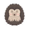 Lovely hedgehog animal cartoon character with funny face vector Illustration on a white background